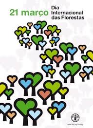 floresta2